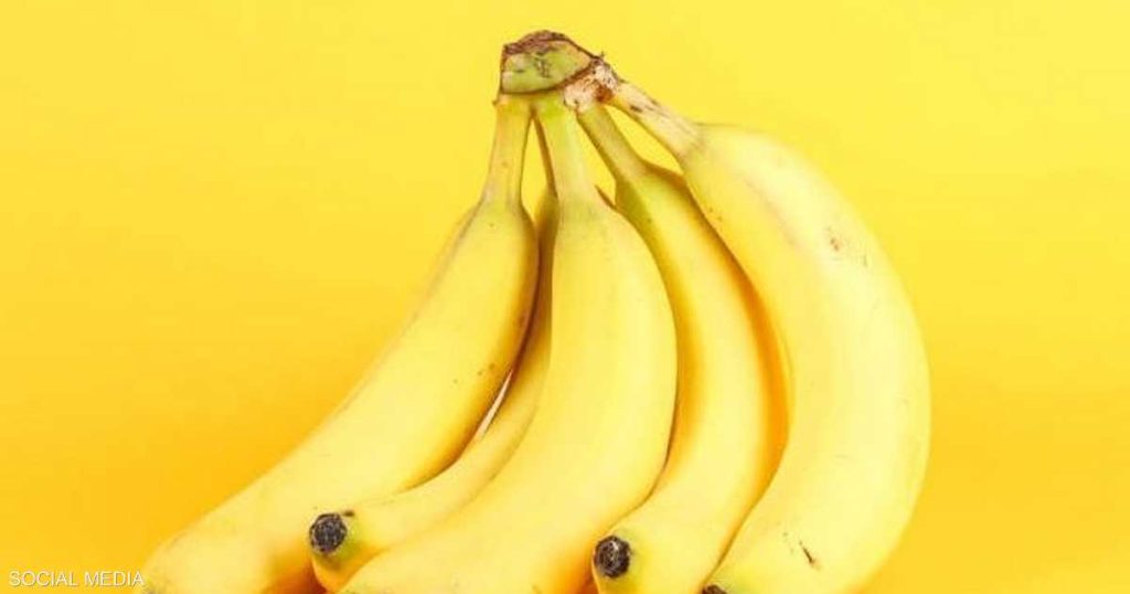 خطأ يهدد نشاطك.. ابتعد عن الموز خلال هذه الفترة من اليوم