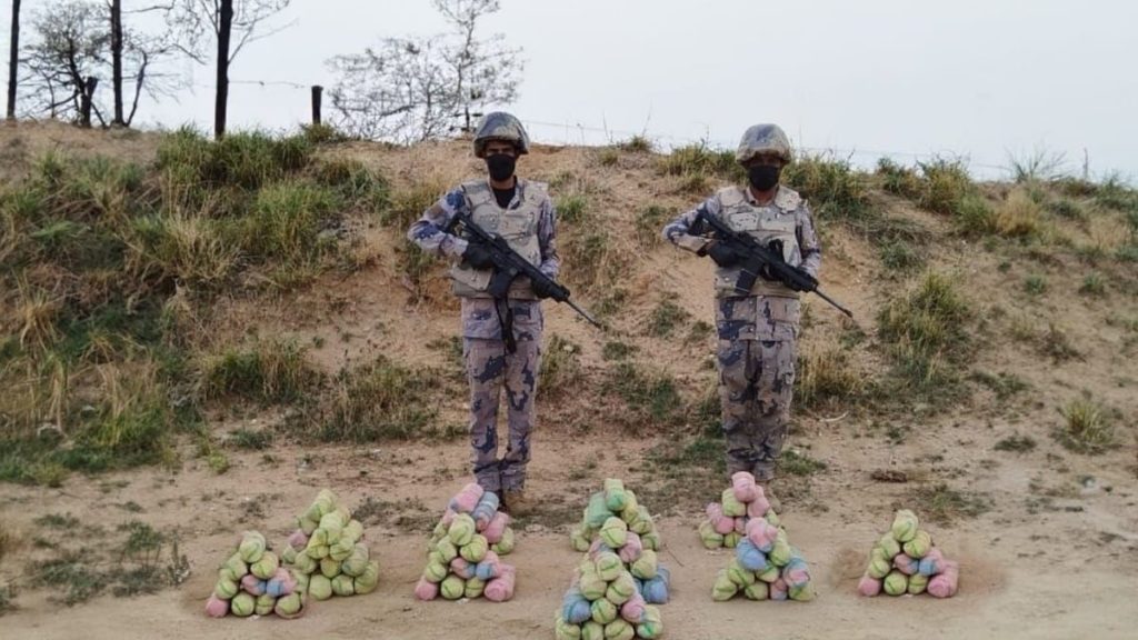 إحباط تهريب 180 كيلوجرامًا من القات المخدر بقطاع العارضة