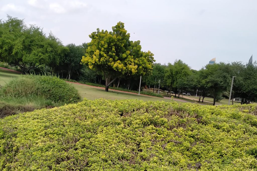 مكافحة التصحر في قطر.. نمو اقتصادي وبيئة مستدامة