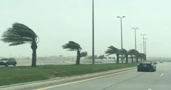 "الأرصاد" ينّبه من رياح شديدة وتدنٍ بالرؤية على منطقة المدينة المنورة