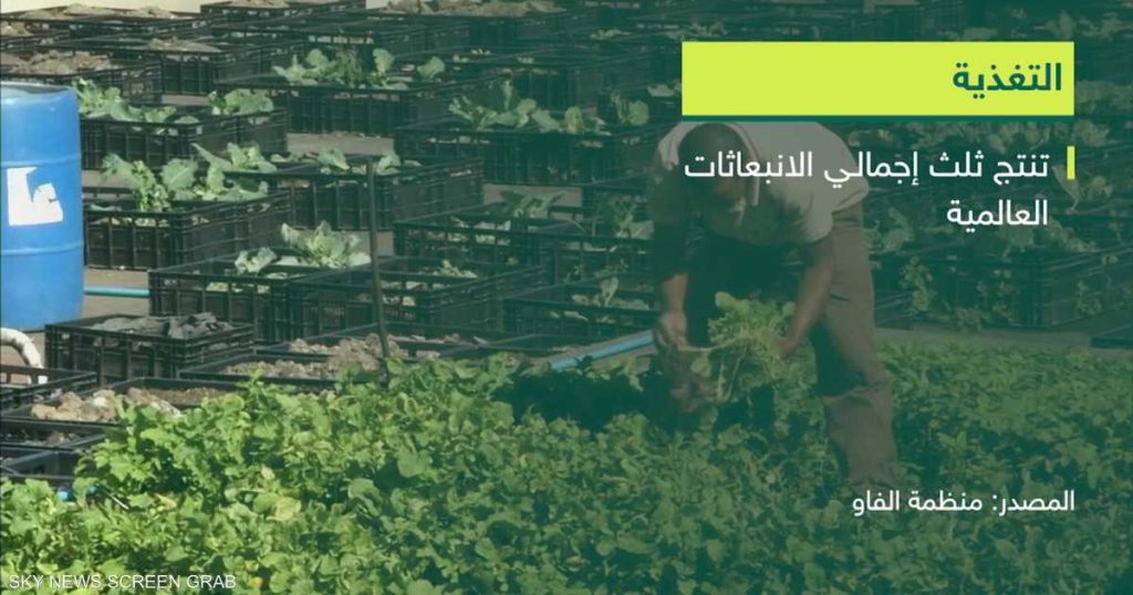 كيف تؤثر النظم الغذائية والزراعية على التغيرات المناخية؟