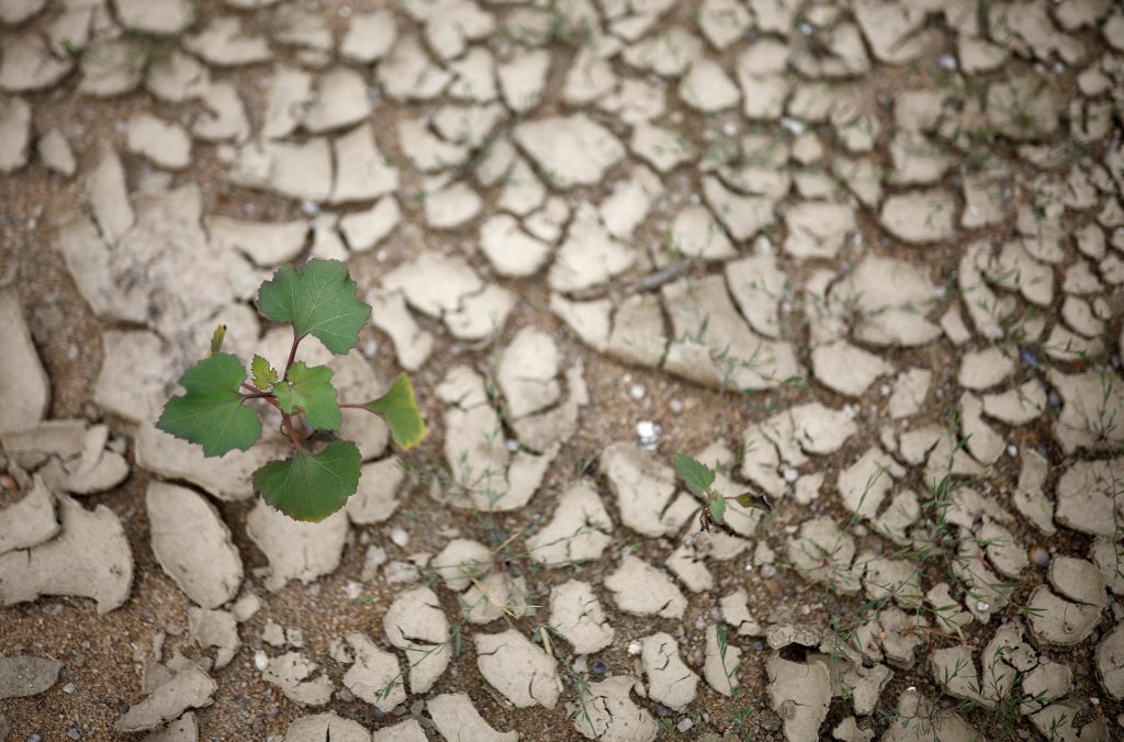 متى يعلنون “نهاية عصر النفط”؟.. تفاصيل الخلافات بمؤتمر المناخ