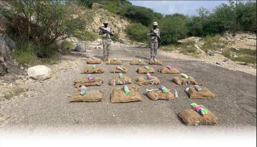 حرس الحدود بجازان يحبط محاولة تهريب 180 كيلوجرامًا من القات