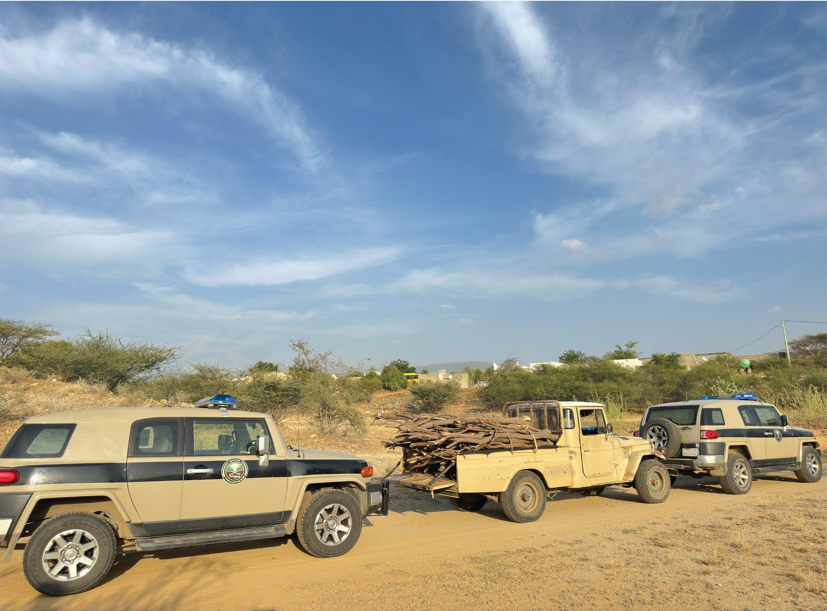 دوريات الإدارة العامة للمجاهدين بمنطقة جازان تضبط مخالفًا لنظام البيئة