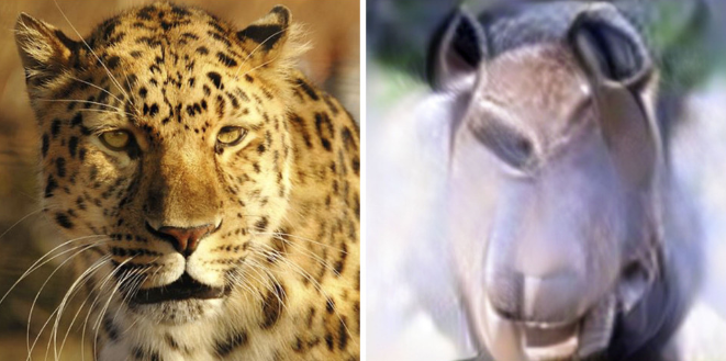 من فكرة إلى صورة حقيقية.. علماء ينتجون “أول صور ذهنية” في العالم