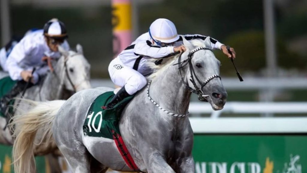 الرياض تستضيف جولة الجياد العربية 2024