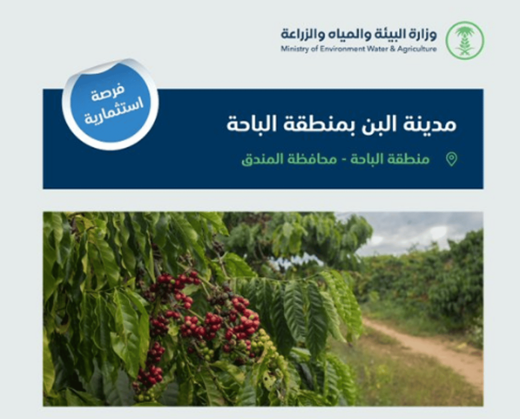 طرح فرصة استثمارية في مدينة البن بمنطقة الباحة