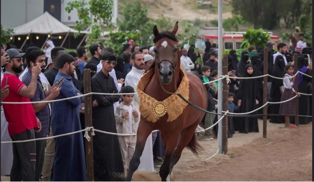 عروض الخيل العربية بنجران تجذب زوار مواقع احتفالات عيد الفطر المبارك