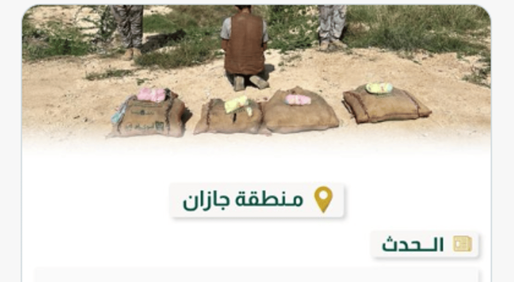القبض على مخالف لنظام أمن الحدود لتهريبه 60 كيلوجرامًا من نبات القات المخدر