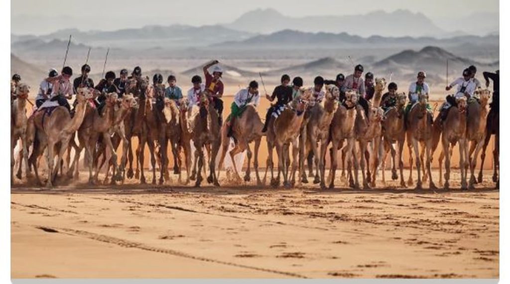 بطولة «كأس العلا للهجن» تعود بنسختها الثانية مستعرضة تُراث المملكة الأصيل
