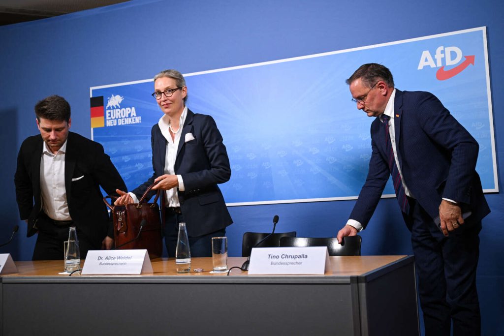 استعادت حملة حظر حزب البديل من أجل ألمانيا، الحزب اليميني المتطرف في ألمانيا، قوتها منذ الانتخابات الأوروبية