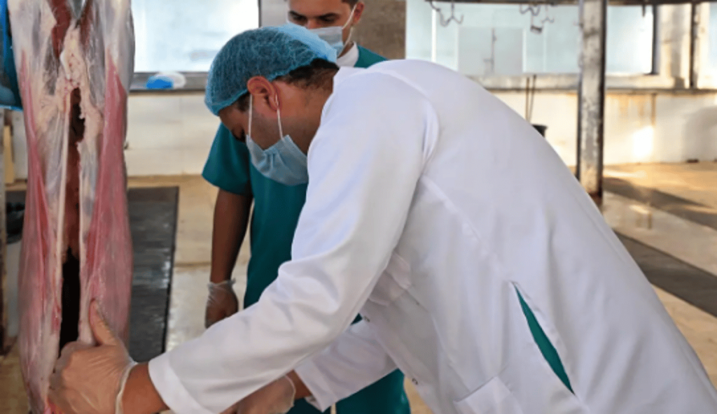 "وقاء تبوك" يكثف جولاته الميدانية على أسواق الماشية والمسالخ والحظائر