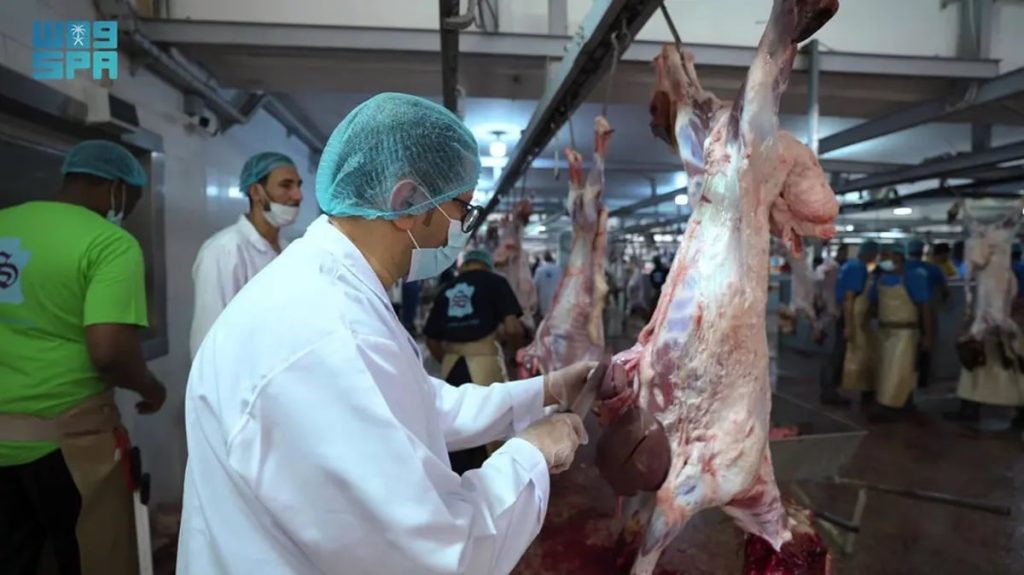 مسالخ الجوف تستقبل 5371 ذبيحة خلال موسم عيد الأضحى