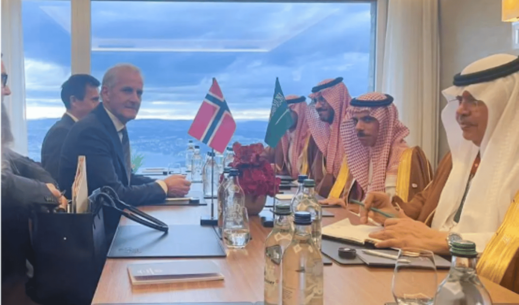 وزير الخارجية يلتقي رئيس وزراء النرويج ويستعرضان العلاقات الثنائية