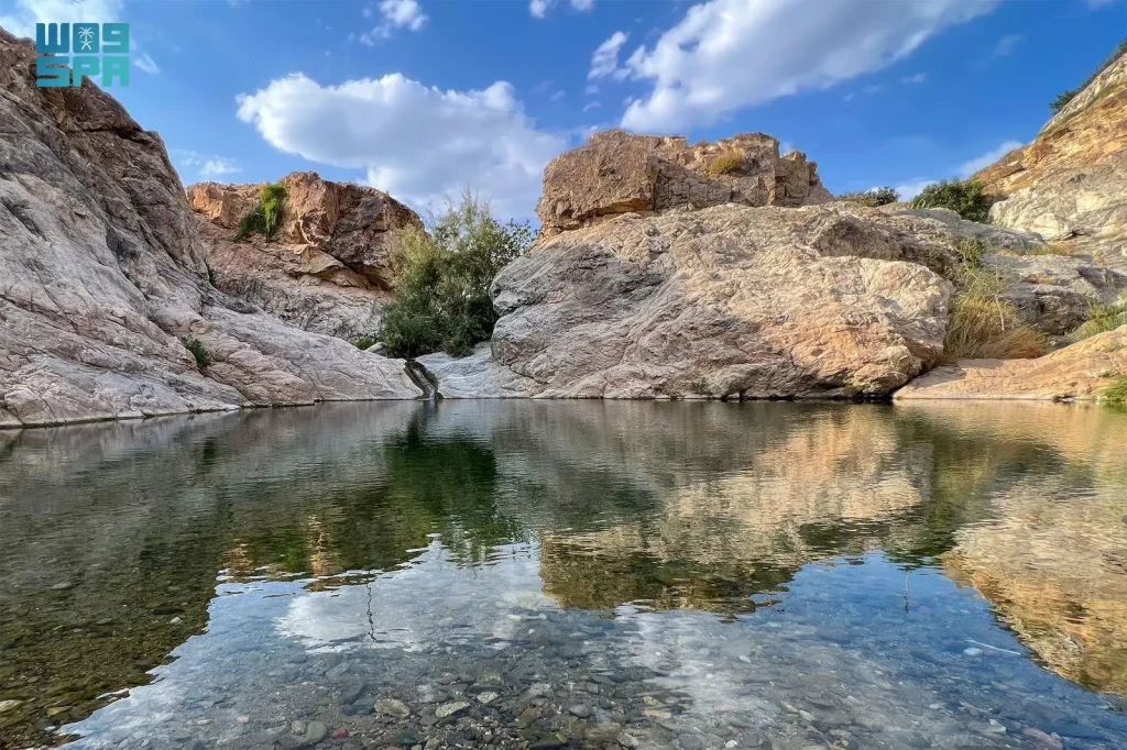 من أفق جبال الطائف إلى أودية بسل.. أجواء عليلة تزفها قطرات المطر