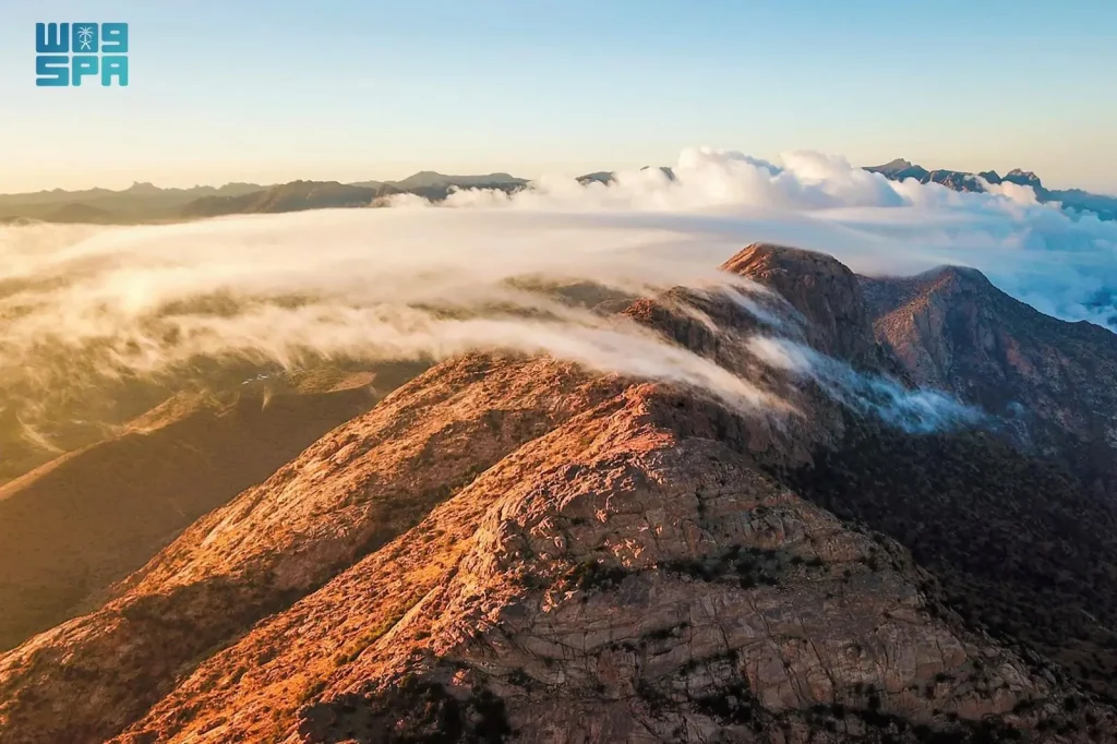 أطواد الطائف .. شاهقات في بحر الضباب