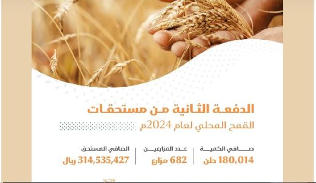 صرف 314 مليون ريال مستحقات الدفعة الثانية لمزارعي القمح المحلي
