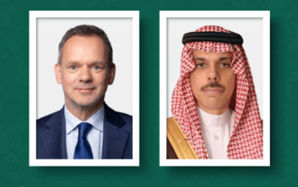 وزير الخارجية يبحث التطورات الإقليمية مع نظيره الهولندي