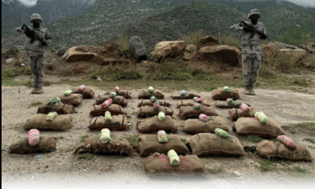 إحباط تهريب 260 كيلوجرامًا من القات المخدر في جازان