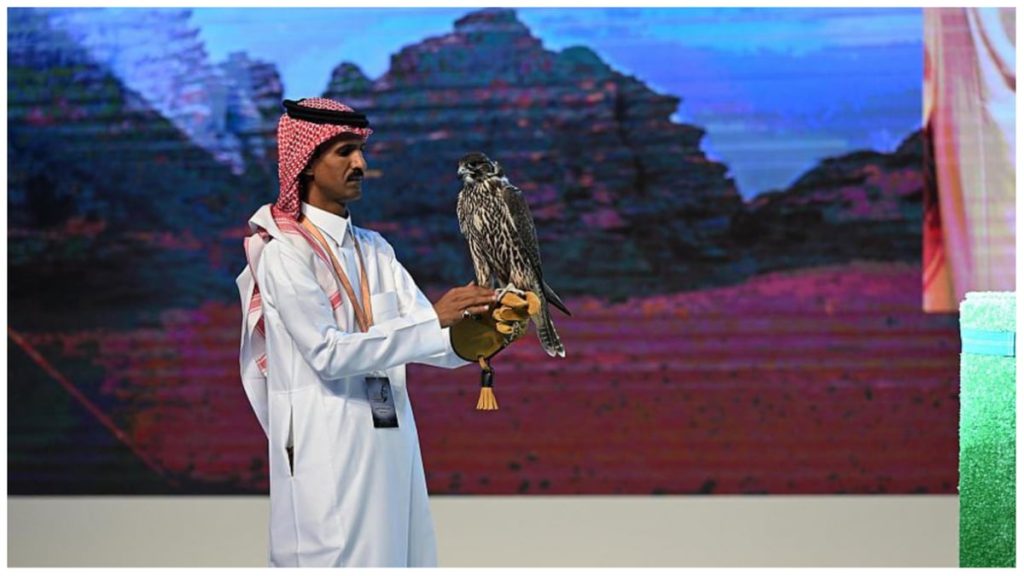 بيع 3 صقور في الليلة الخامسة لمزاد نادي الصقور السعودي 2024