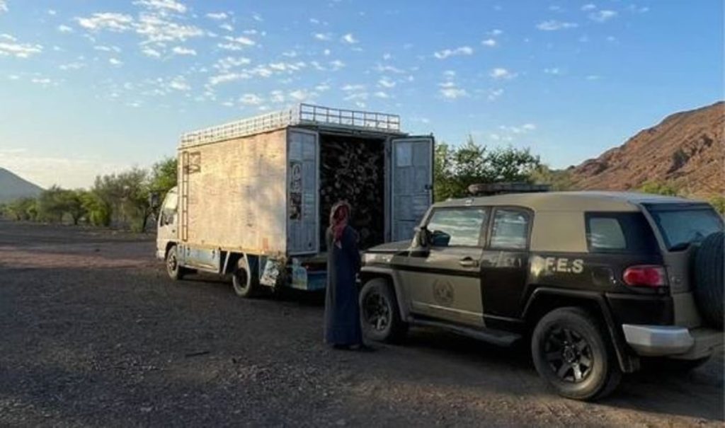 ضبط مواطنا مخالفا لنظام البيئة لنقله حطبًا محليًّا بمنطقة المدينة المنورة