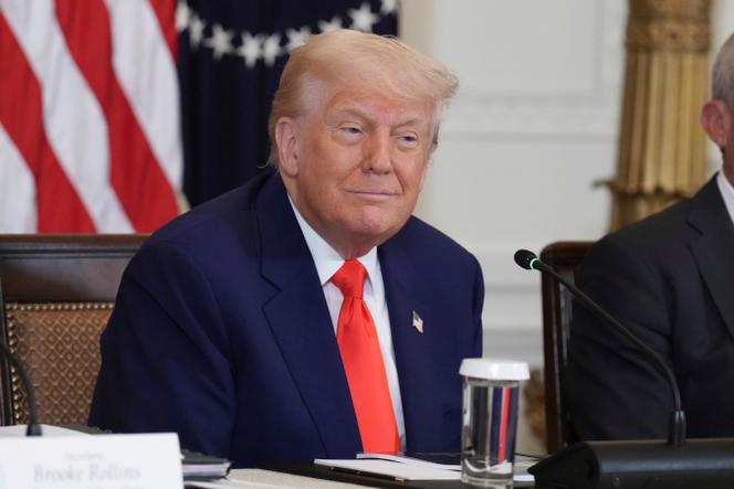 الرئيس الأمريكي دونالد ترامب في البيت الأبيض في واشنطن في 22 مايو 2025.