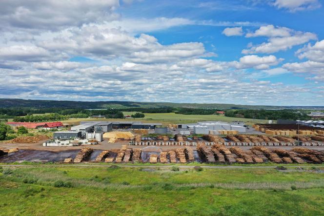 منشرة Braviken's Sawmill ، أكبر وأكثرها حداثة في الدول الاسكندنافية ، في Norköping ، السويد ، 3 يوليو 2020.