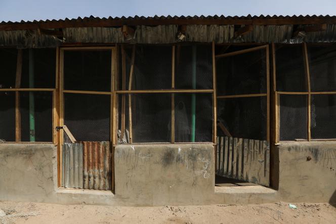 فر سكان زامفارا ، في شمال غرب نيجيريا ، من الهجمات على 