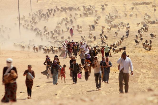 نزحوا من طائفة اليزيديين من الأقلية ، والفرار من عنف القوات المخلصين في الدولة الإسلامية في مدينة سنجار ، وهم يسيرون نحو الحدود السورية ، بالقرب من جبل سنجار ، بالقرب من بلدة إليربيه الحصحية السورية ، في 10 أغسطس 2014.