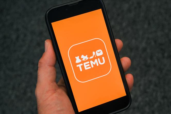 منصة Temu للتجارة الإلكترونية في نوفمبر 2024.