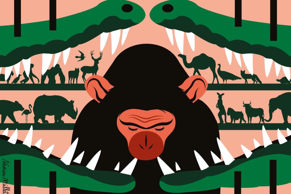 فانتارا، حديقة الحيوانات الخاصة الضخمة للملياردير الهندي الذي يمتص آلاف الحيوانات من جميع أنحاء العالم