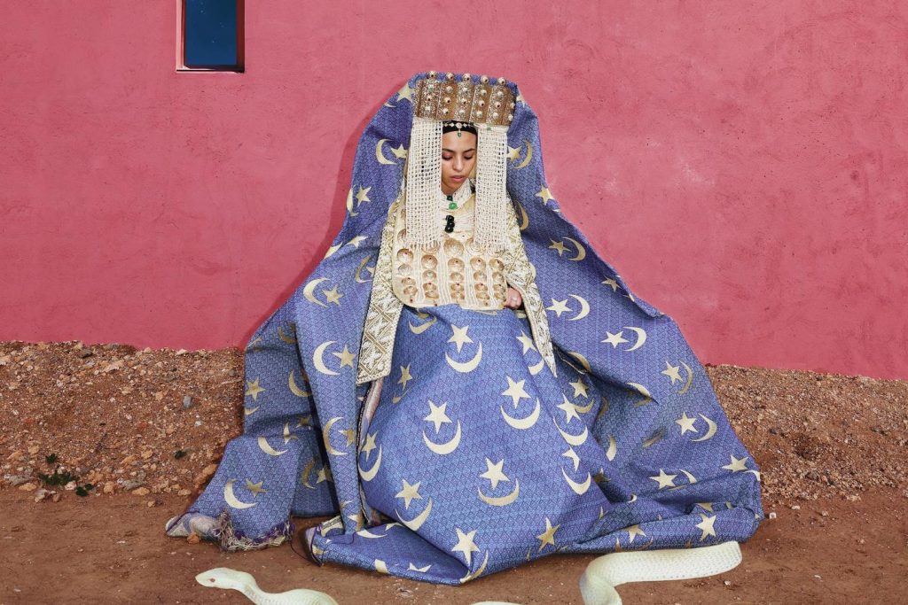 “المثل السياسية للجيل Z متناقضة للغاية، ويمكن استعادتها بسهولة”