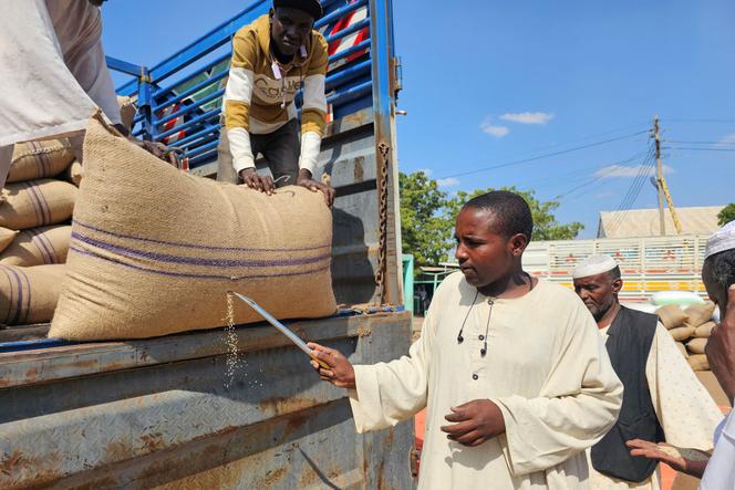 مزارع سوداني يتفقد أكياس السمسم في سوق بالقضارف بشرق السودان في 12 نوفمبر 2025.