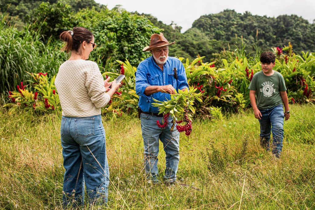 في بورتوريكو، المغامرة الأمريكية للمنفيين من كيب كورسيكا