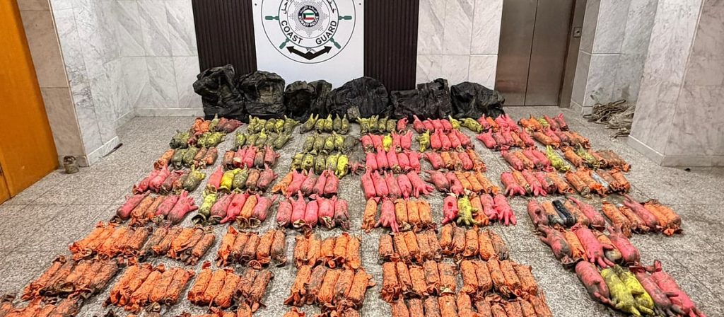 الكويت.. خفر السواحل يضبط كمية مخدرات كبيرة مخبأة في قاع البحر