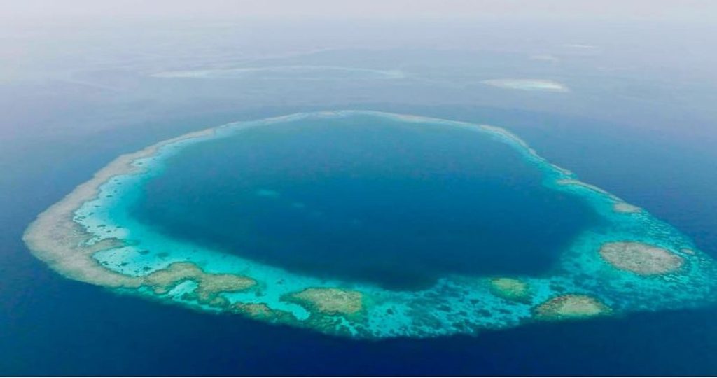 محميتا رأس حاطبة والثقوب الزرقاء.. نقلة نوعية في المحافظة على الحياة البحرية بالمملكة