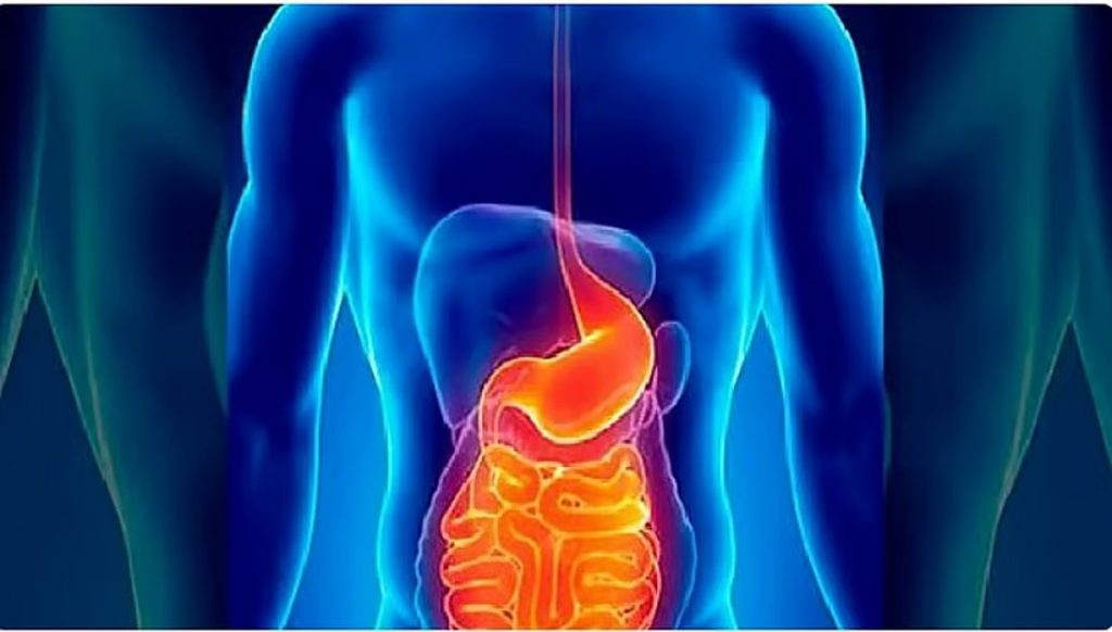 أخصائي يحدد مصادر البكتيريا النافعة للجهاز الهضمي