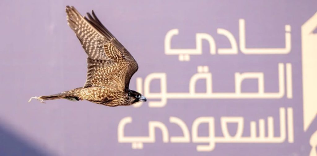 المنطقة الشرقية تستضيف كأس نادي الصقور السعودي 2025.. الأحد المقبل