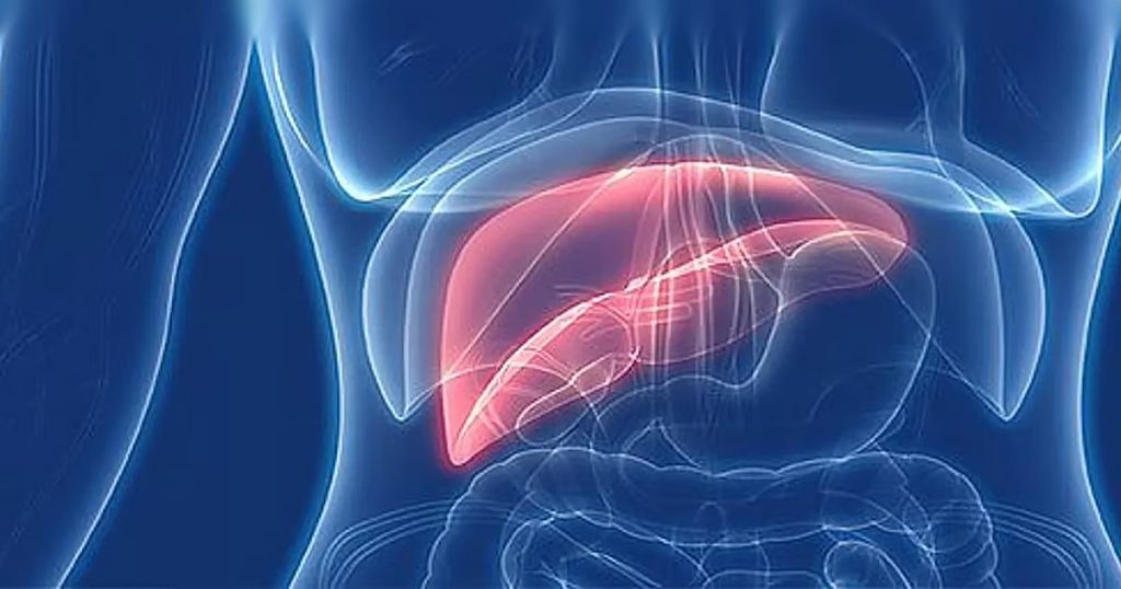 اسمرار الجلد وابيضاض العين.. فهد الطبية توضح أعراض الإصابة بالتهاب الكبد «ب»