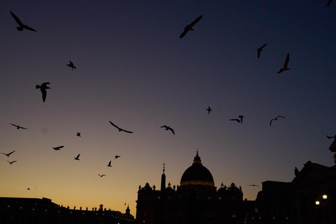 كاتدرائية القديس بطرس، روما، 10 ديسمبر 2025. 