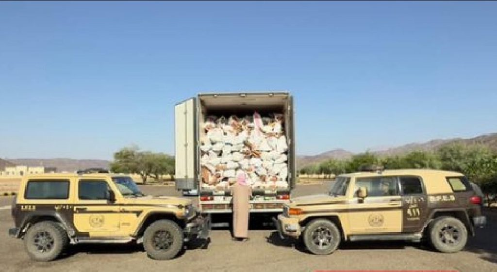 «الأمن البيئي» تضبط مواطنًا لنقله حطبًا محليًا في منطقة المدينة المنورة