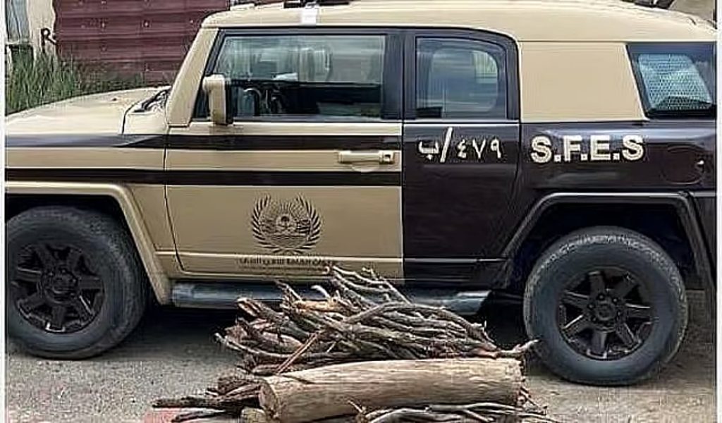 «الأمن البيئي» يضبط مواطنًا لنقله حطبًا محليًا في منطقة الرياض
