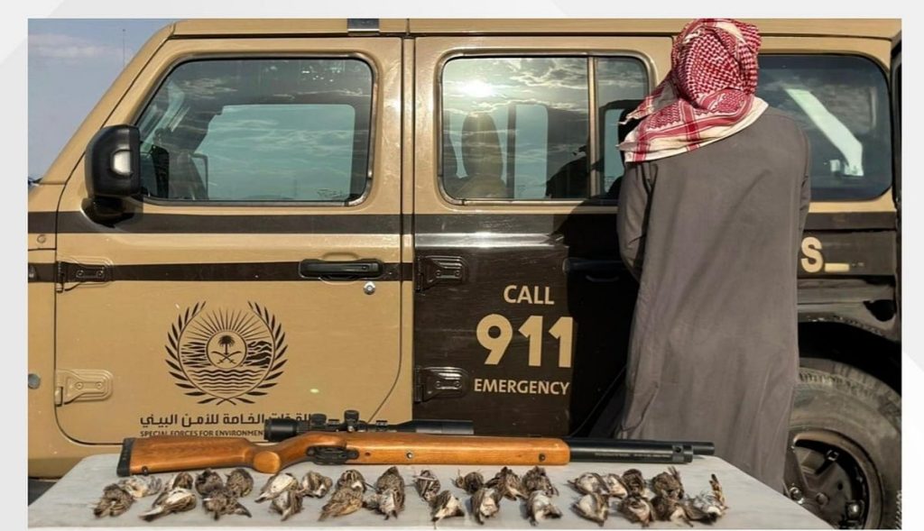 القبض على مخالف لنظام البيئة لارتكابه الصيد دون ترخيص في المدينة المنورة