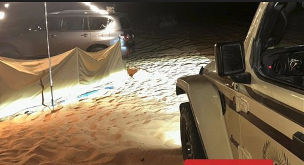 قوات الأمن البيئي تضبط مواطنًا لارتكابه مخالفة التخييم في محمية الملك عبدالعزيز الملكية