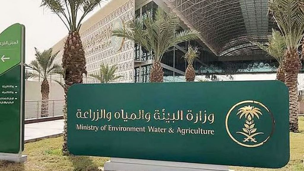 مكة المكرمة الأعلى.. «البيئة» ترصد هطول الأمطار في 9 مناطق