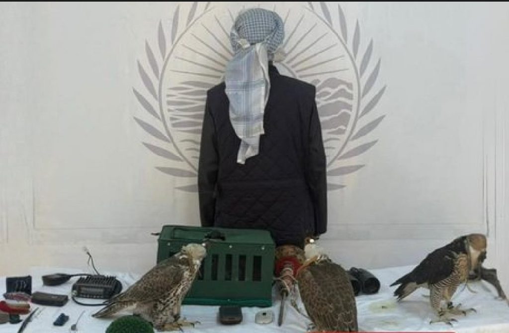 ضبط مواطن خليجي مخالف لنظام البيئة في محمية الإمام تركي بن عبدالله الملكية