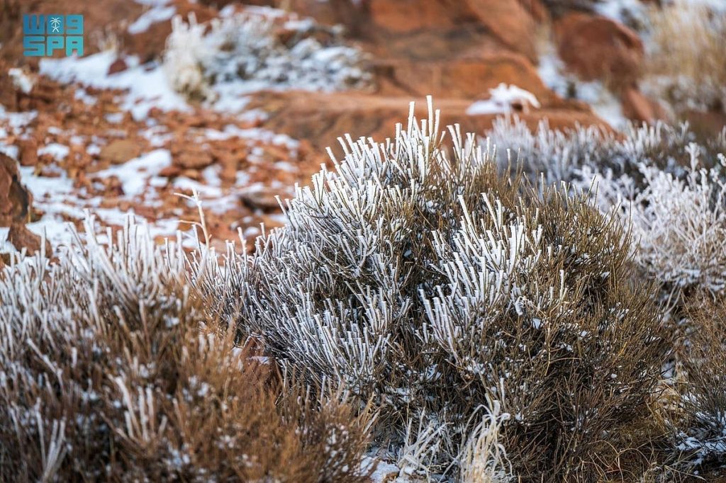 غدا.. بداية فصل الشتاء 2026 فلكيًا في المملكة