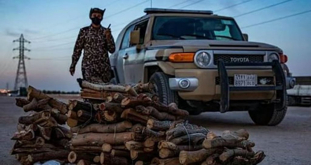 ضبط مخالف لنظام البيئة لنقله الحطب المحلي في الرياض