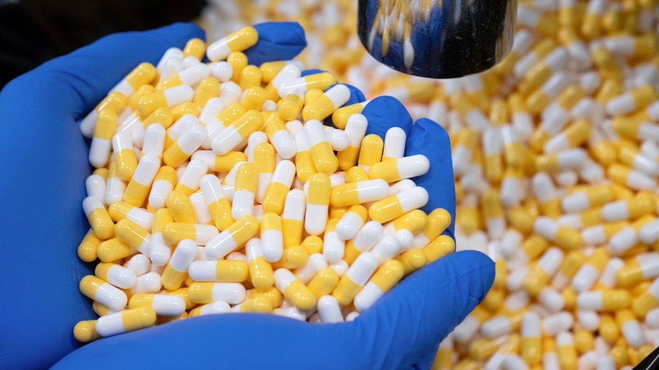 أيدي تحمل كومة من الحبوب