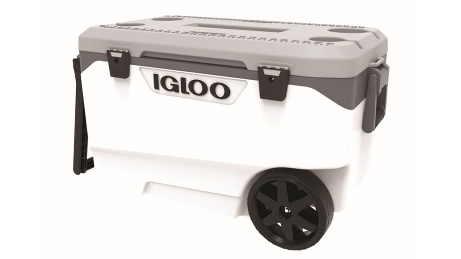 برودة القباني